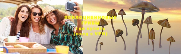 ГАЛЛЮЦИНОГЕННЫЕ ГРИБЫ Алексеевка