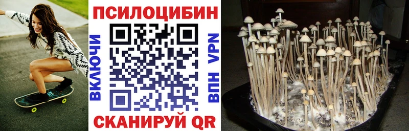 ОМГ ОМГ ТОР Тогучин Галлюциногенные грибы MAGIC MUSHROOMS